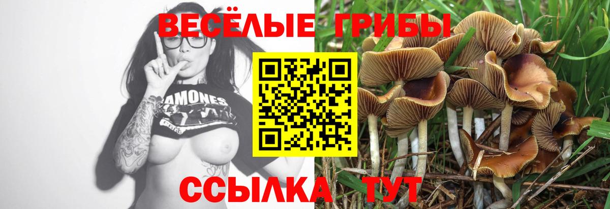 Галлюциногенные грибы GOLDEN TEACHER  Вход с VPN  Каменка  Псилоцибиновые грибы ЛСД 