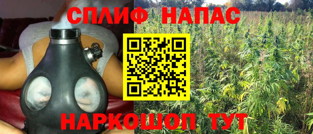 Бошки Шишки Amnesia Каменка